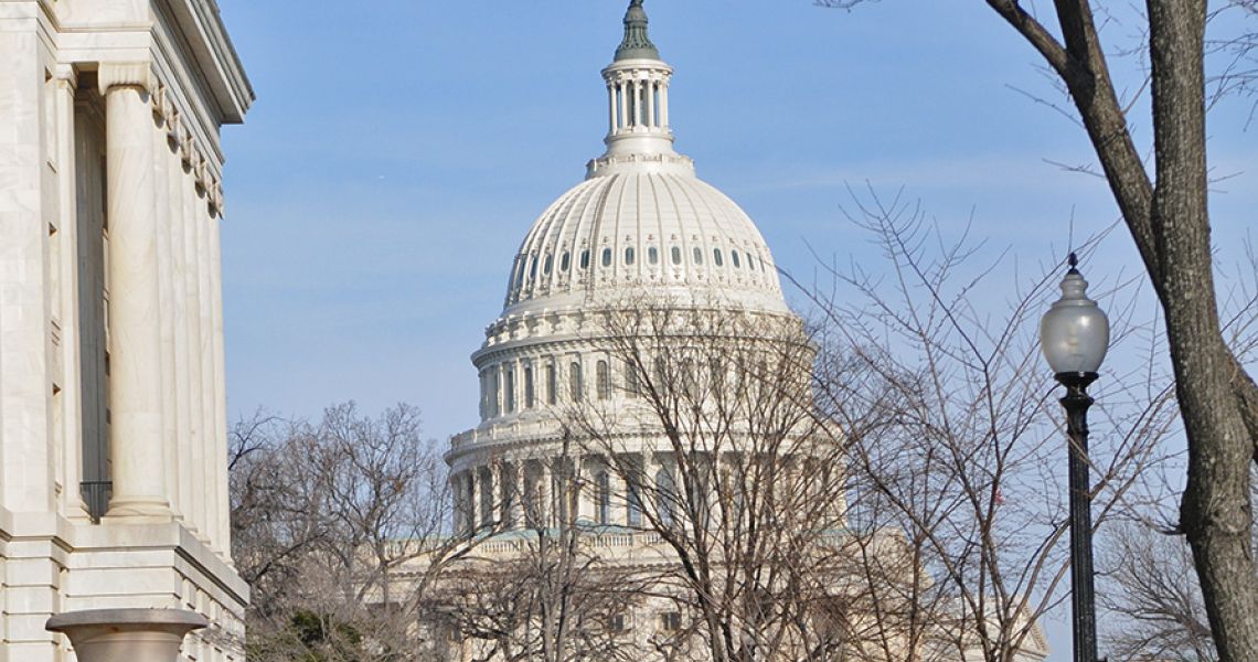 US Capitol in photo